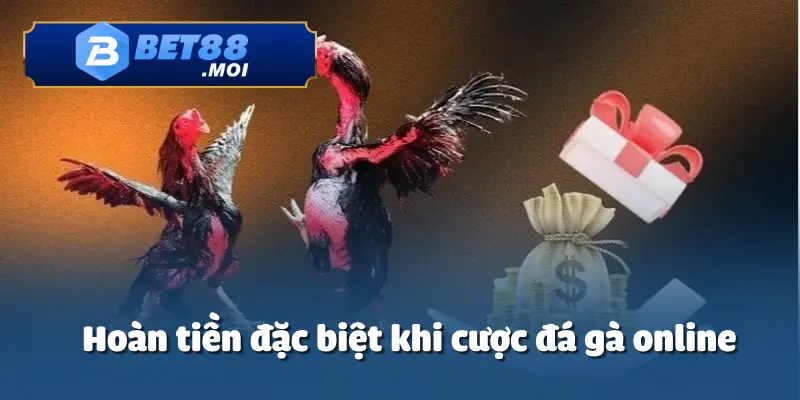 Ưu Đãi Hoàn Tiền Thua Cược Hấp Dẫn – Cơ Hội Nhận Lại Vốn Cực Dễ 5 Chương trình ưu đãi hoàn tiền thua cược hấp dẫn khi chơi đá gà