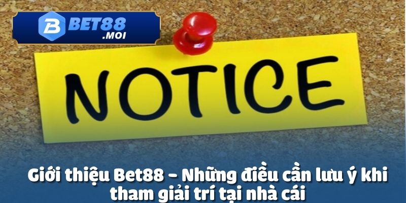 Giới Thiệu Bet88 4 Giới thiệu Bet88 về lưu ý một số điểm quan trọng khi tham gia