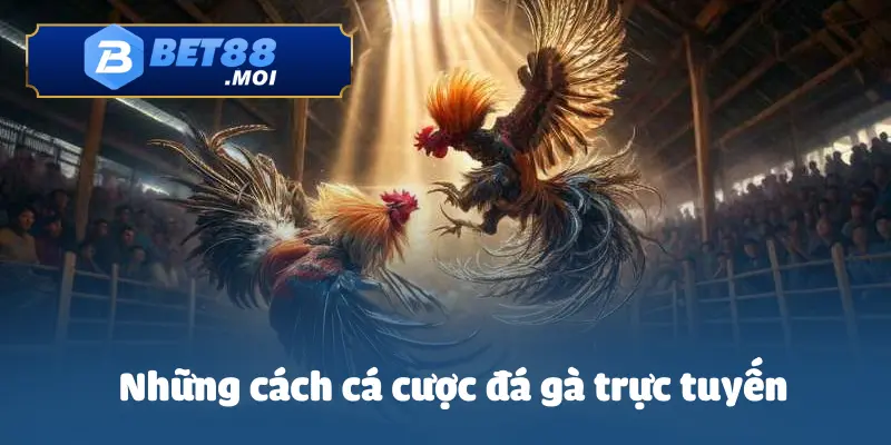 Một số cách các cược đá gà trực tuyến