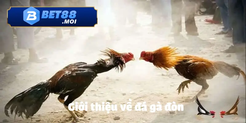 Kinh Nghiệm Cá Cược Đá Gà Dễ Thắng Mới Nhất Hiện Nay 2 Tổng quan về cá cược đá gà tại nhà cái BET88